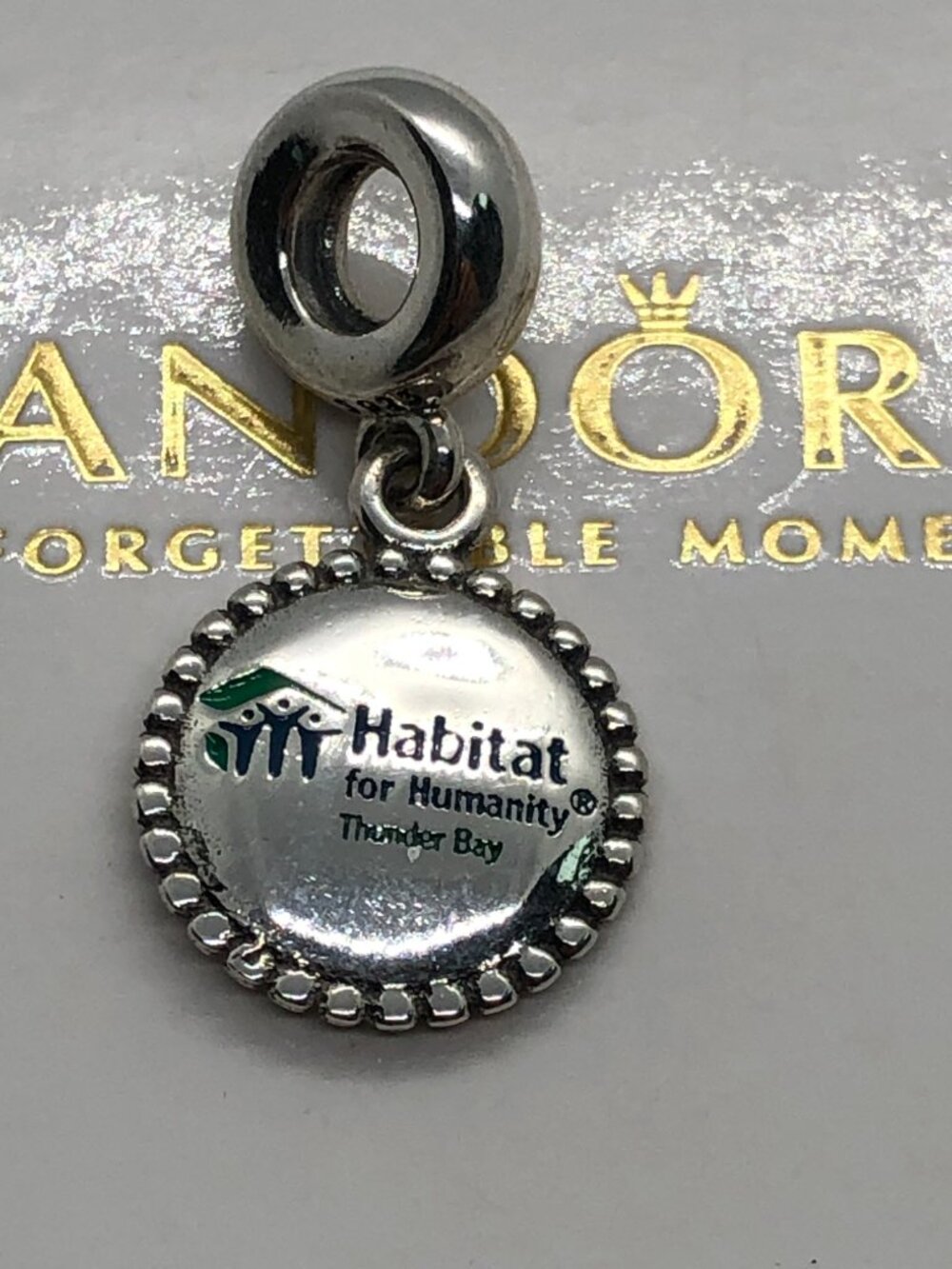 ✨🔥Pandora Habitat For Humanity Thunder Bay Charm S925 ALE